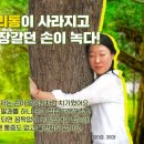 남구-59 이미지