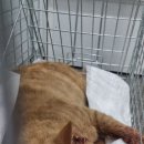 마월1리마을회관 이미지