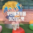 어라운드1142 이미지