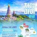 고고투어앤신혼여행 네이버블로그