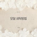 광성세탁 이미지