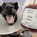 예인동물병원 이미지