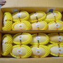 오늘 과일 이미지