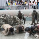 로뎀 농장 이미지