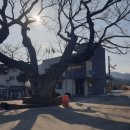 황산보건지소 네이버블로그