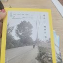 [평창여행] 대관령책방 독립서점 책방선인장 북스테이