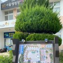 상주 감꽃마을 서울캠핑장 네이버블로그