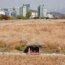 [백석] 민화 | 부암동의 <역사와 건축, 골목길, 전통문화> 이야기