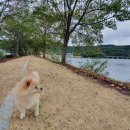 회동주차장 이미지