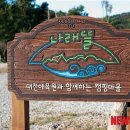 오토플러스(주) 이미지