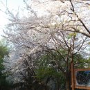 우족산약수터 이미지