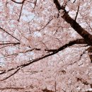온천장 지하철역(1호선) 네이버블로그