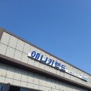 콩이카센타 이미지