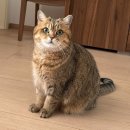 (주)동성아이디 | #. 62.8% 사람의 북경 방문기