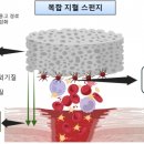 의료법인 자비의료재단 이미지