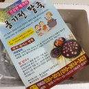 옹기전 팥죽 이미지