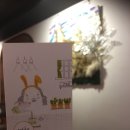 레빗홀