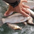 양촌소류지 이미지