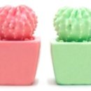 천연비누&석고방향제 만들기 이미지