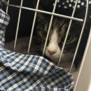 유니온동물병원 이미지