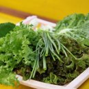 영도상회 Daum카페