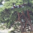 청풍펜션 이미지