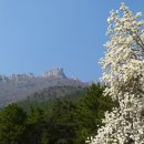 금산-29 이미지