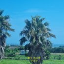 돌고래공인중개사사무소 이미지