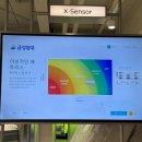 금성침구 | [양주]금성침대플래그십 라지킹 침대구매 후기 (내돈내산)