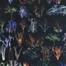 가장자리 이미지