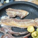 항사리91 네이버블로그