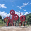 구와우농장 | "100만 송이 해바라기의 유혹" 태백 구와구 마을