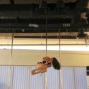 일산 폴댄스 폴린이 국화의 465회차 수업 후기 초급심화 스윗드림