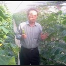일직농장 이미지