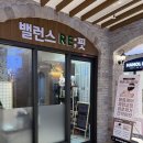 광교체형교정밸런스리핏