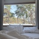 추천 [오낮오밤] 따뜻한 분위기의 최고의 숙소 후기(강화도 여행 추천지, 고려산 진달래군락지 방문후기)