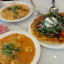 씨에스타 이미지