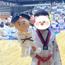 광교한국체대준태권도장 | 태권도풍선 국기원심사 1급심사 2급 토끼풍선 생일선물