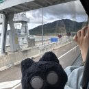 과채원