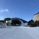 중앙메가프라자 | 2026년 2월 용평스키장 평일 스킹 후기