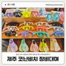 돌고래PC | [제주 코난비치 스노쿨링 대여] 김녕 근처 구명조끼 장비 대여 &amp; 온수샤워 솔직후기