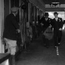 라이언당구장 이미지