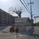 원광상록원 이미지