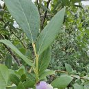 다온농장2 이미지