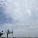 성화목장 | [영종도 대형카페 아기랑 추천] - 포토존이 가득한 아이랑 가기좋은 “폴프랭크 영종점”