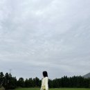 아모렉스 관광호텔 | 1일차] 반나절동안 제주 서쪽 훑어보기(신해바라기분식/바리메오름/신창풍차해안도로/호텔샌드/동문시장)