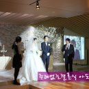 알리앙스 이미지
