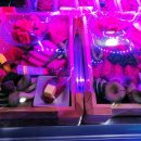 우람한우마을마산본점 이미지