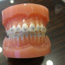 드라마치과병원 이미지