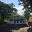 제주도립미술관 | 제주도립미술관에서 마르코 샤갈 전시회관람 후기